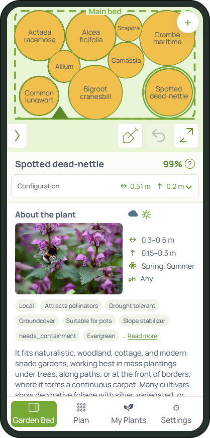 Floredo mobile prototype showing a garden bed plan and plant details